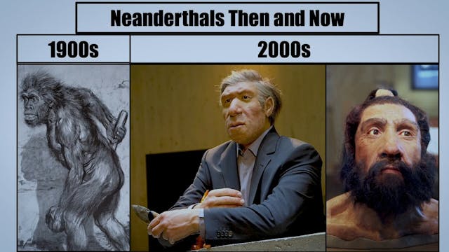 Genesis Impact Clip - Neanderthals