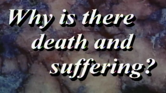 Why Is There Death & Suffering?