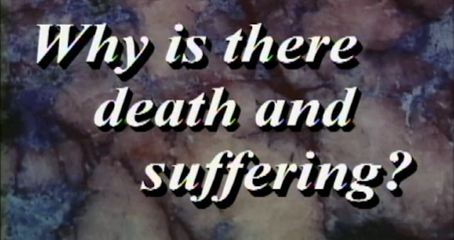 Why Is There Death & Suffering?