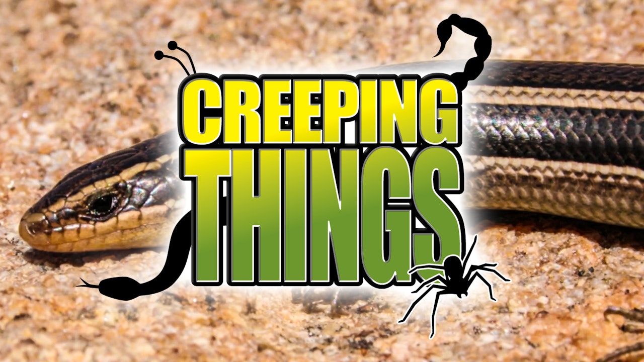 Creeping Things