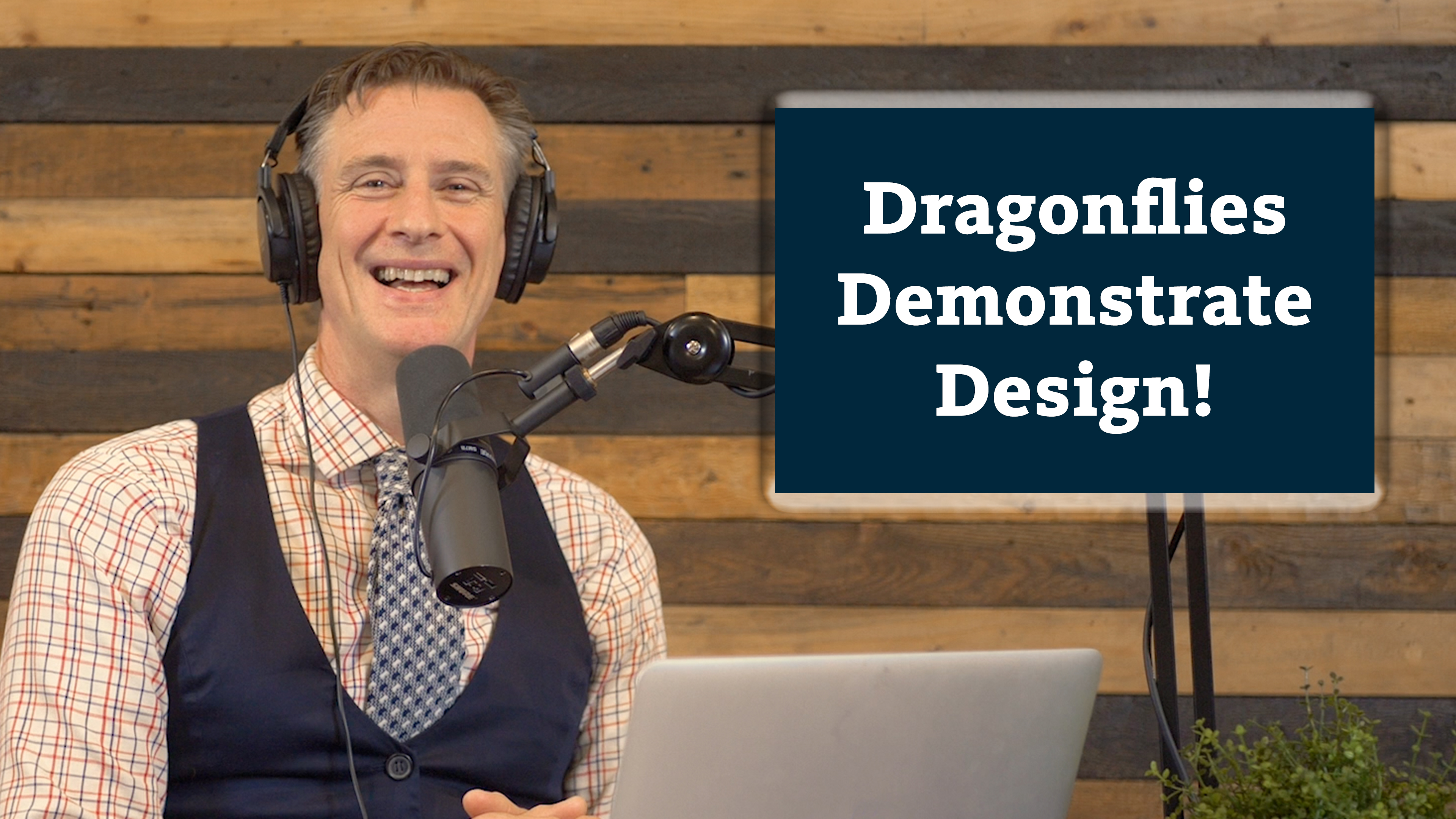 S4E11 Amazing Animals 1 of 7 - Dragonflies Demonstrate Design!