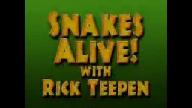 Snakes Alive!