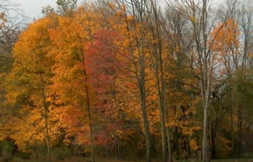 Front Porch Gospel with Buddy Davis: Autumn, Part 1
