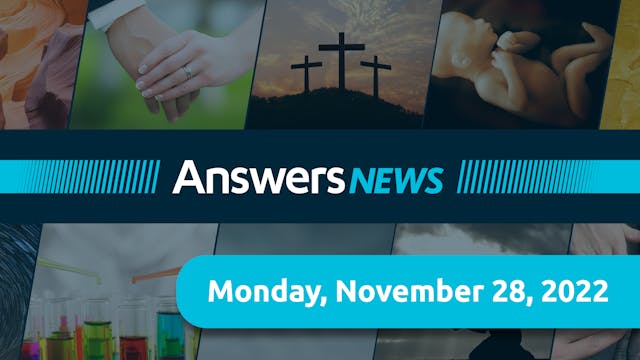 Answers News for November 28, 2022