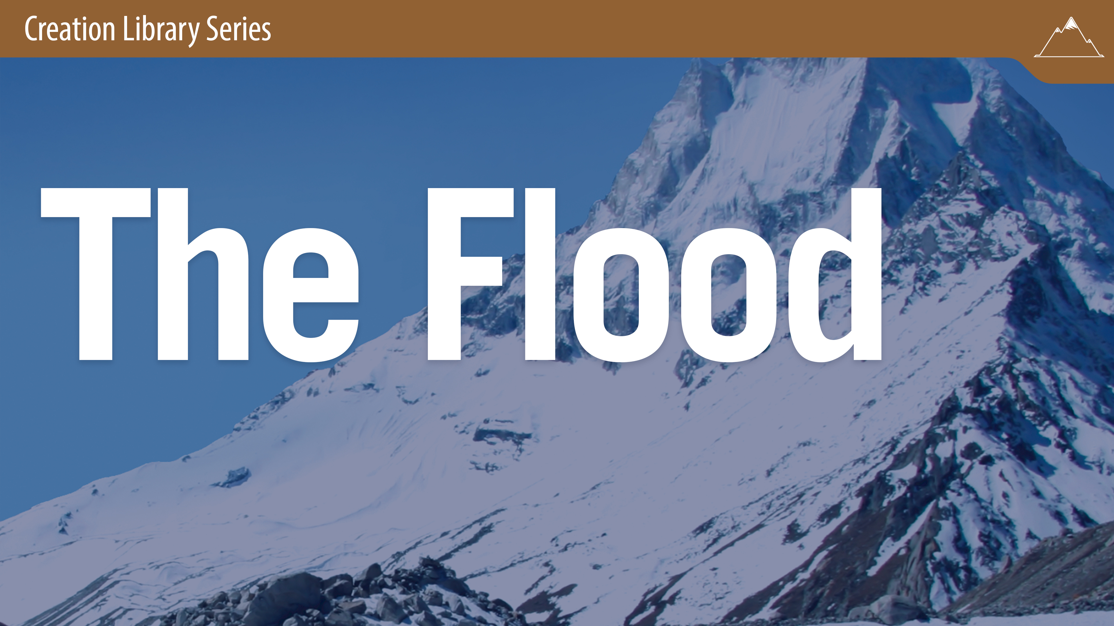 The Flood:The Big Picture‚ of Its Mechanism & Resulting Evid-Dr Andrew Snelling