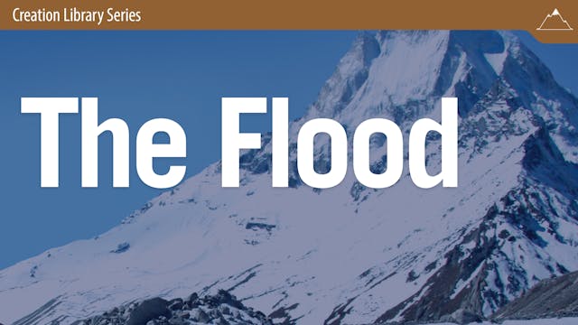 The Flood: The “Big Picture” of Its M...