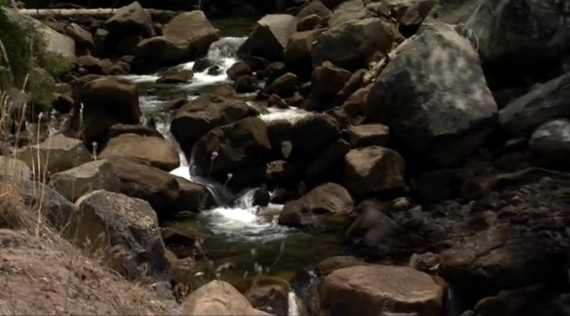 S1E3 Habitable Planet