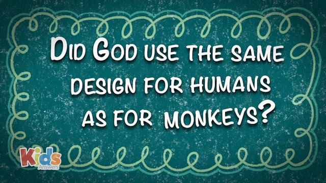 Did God Use the Same Design for Humans as for Monkeys?