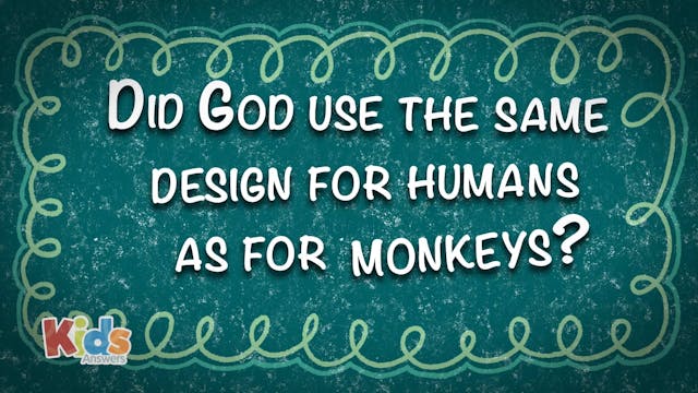 Did God Use the Same Design for Human...