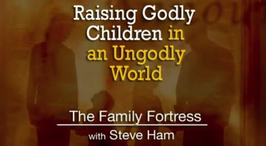 The Family Fortress, Part 2