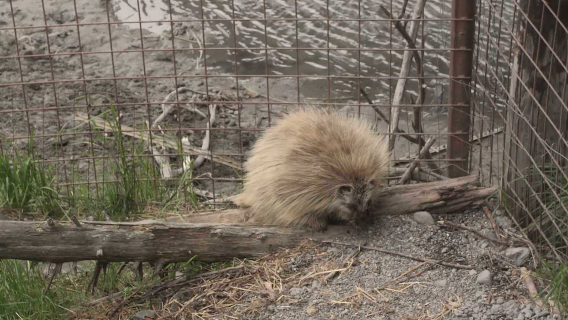 Extra Up Close with Snickers!