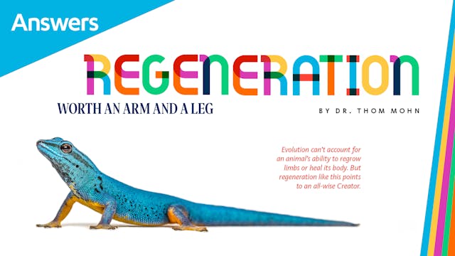 Regeneration (Answers Audio Article)