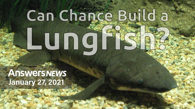 1/27 Can Chance Build a Lungfish?