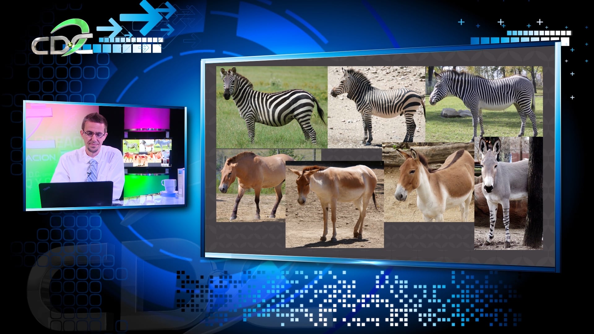 Reemplazando a Darwin Episodio 6