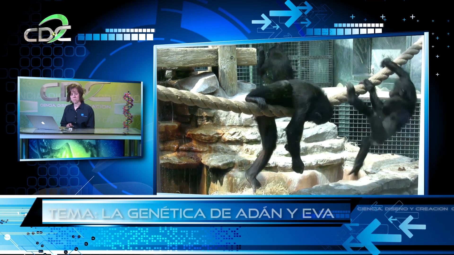 Genética y la Biblia Episodio 12: La genética de Adán y Eva Pt 1