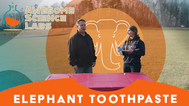 S1E4 Paste of the Pachyderm