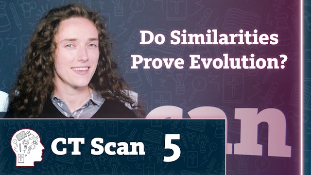 Do Similarities Prove Evolution?