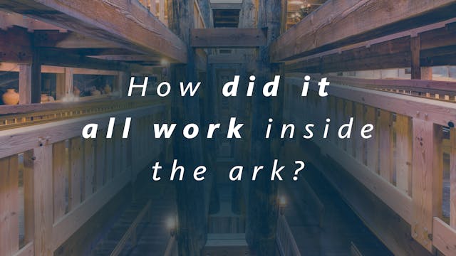 How did it all work inside the Ark?