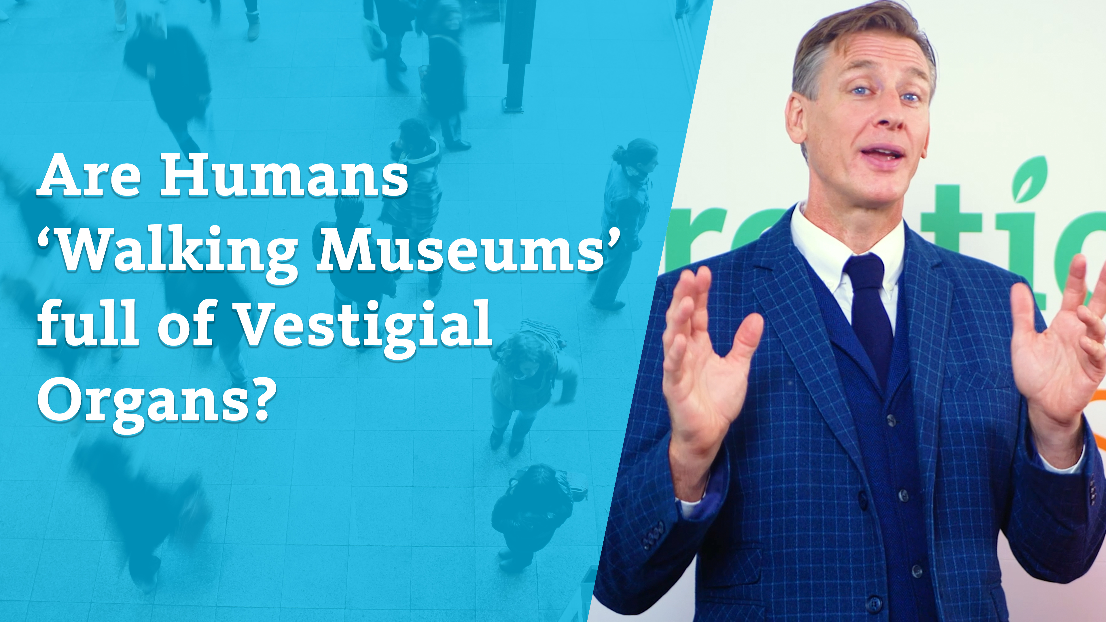 S5E4 Are Humans ‘Walking Museums’ full of Vestigial Organs?