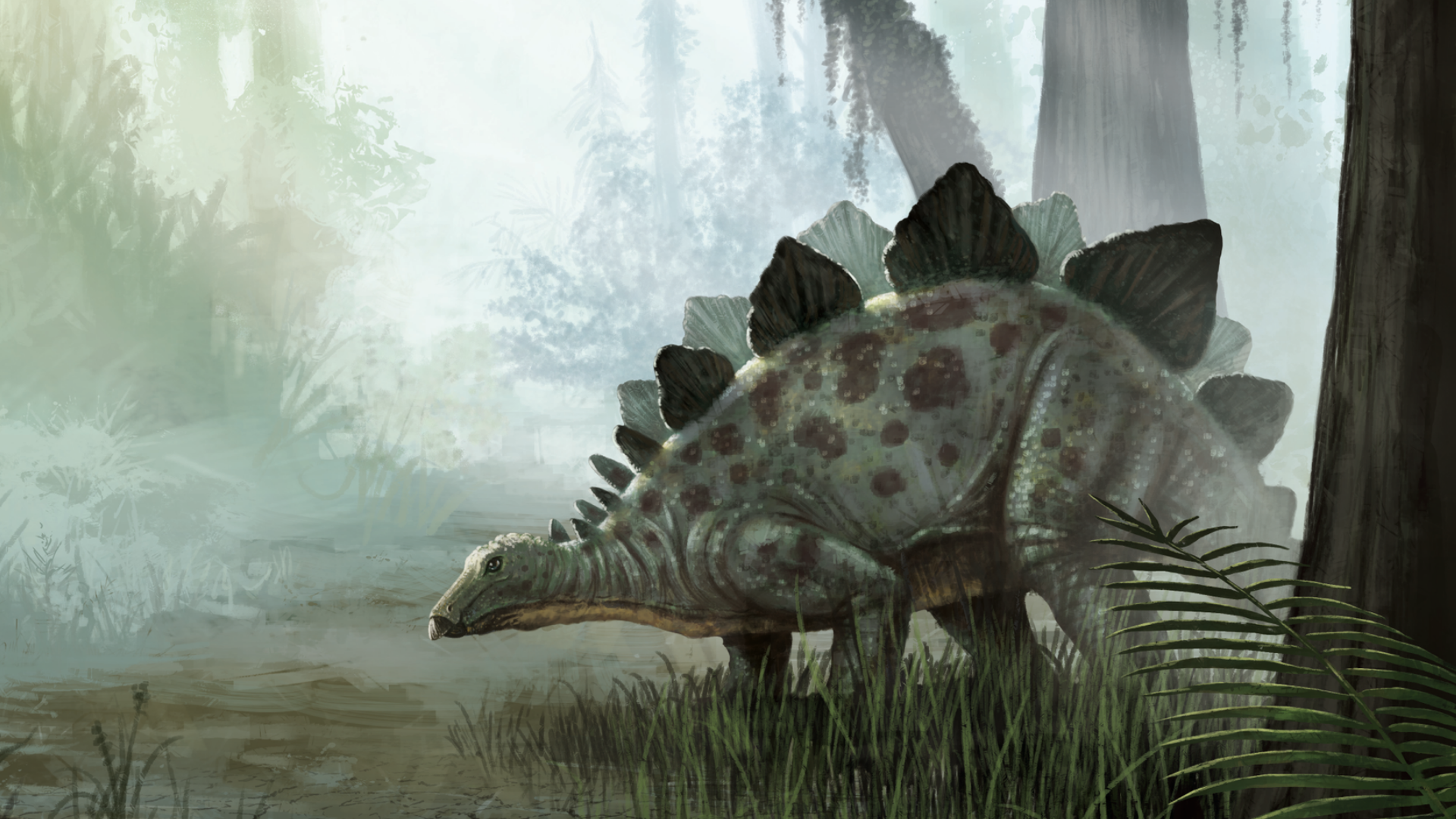 Dinosaurs and the Bible with Bryan Osborne