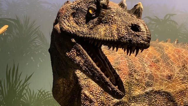 S1E32 Looking for the Dinosaurs at th...