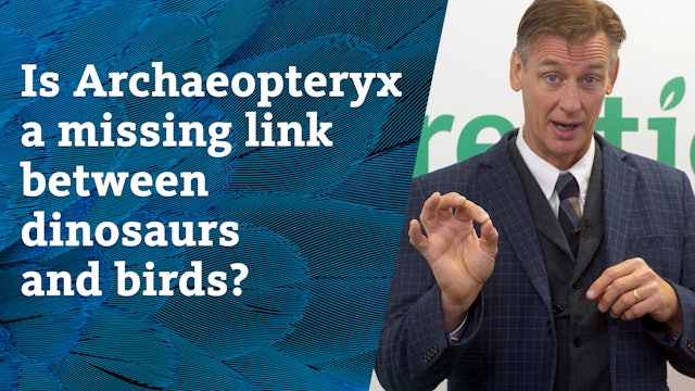 S4E19 Is Archaeopteryx a missing link between dinosaurs and birds?