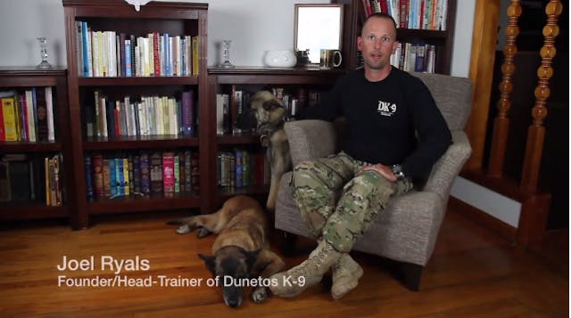 The Dog and Its Incredible Sense of S...