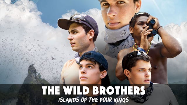 The Wild Brothers: Islands of the Fou...