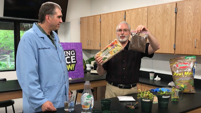 Hands On: Saving a Cursed Plant