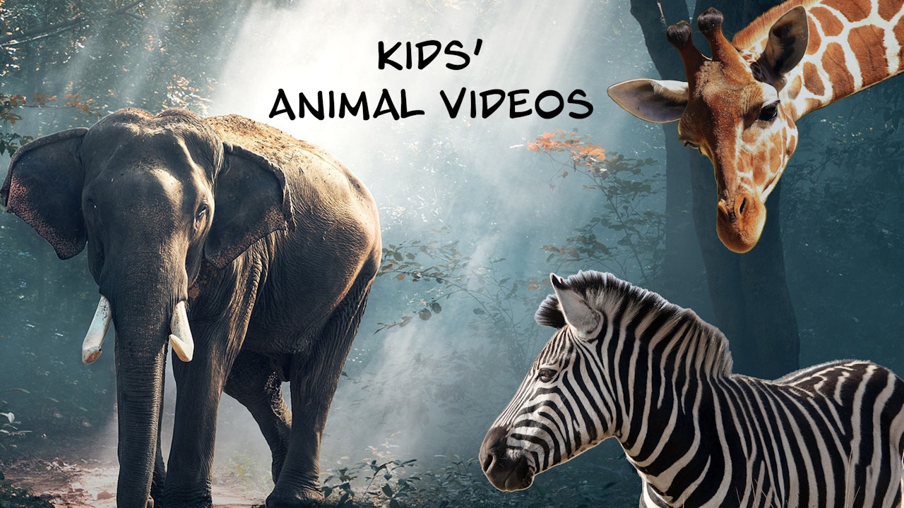 Kids' Animal Videos