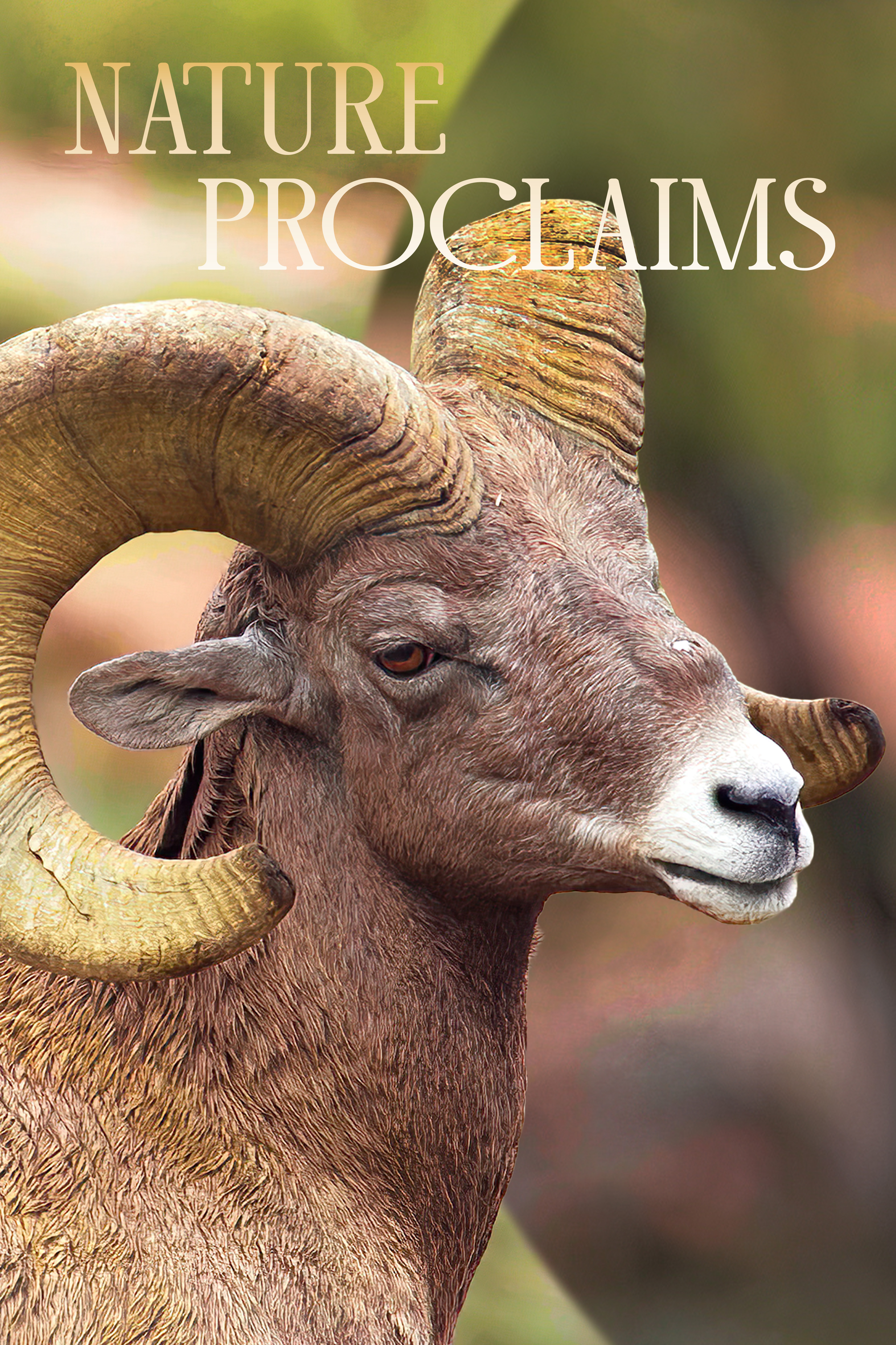 Wonders of His Design