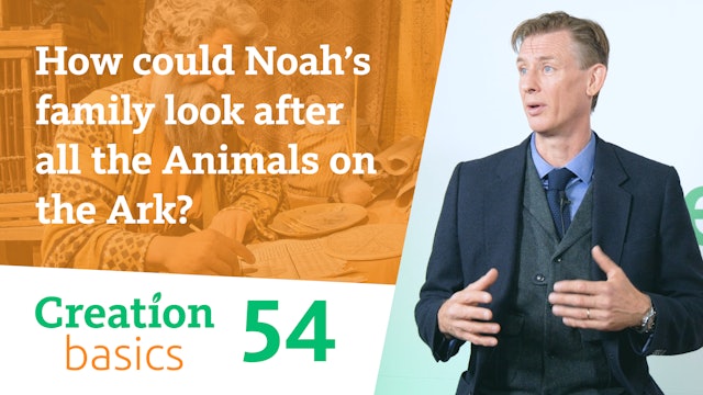 S1E54 How could Noah’s family look after all the Animals on the Ark?