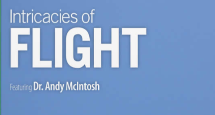 Intricacies of Flight