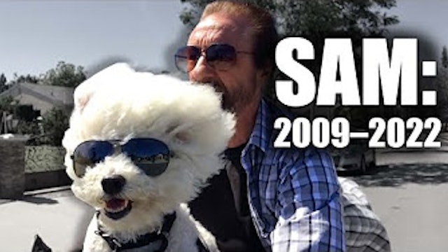 Sam Passed Away Today.