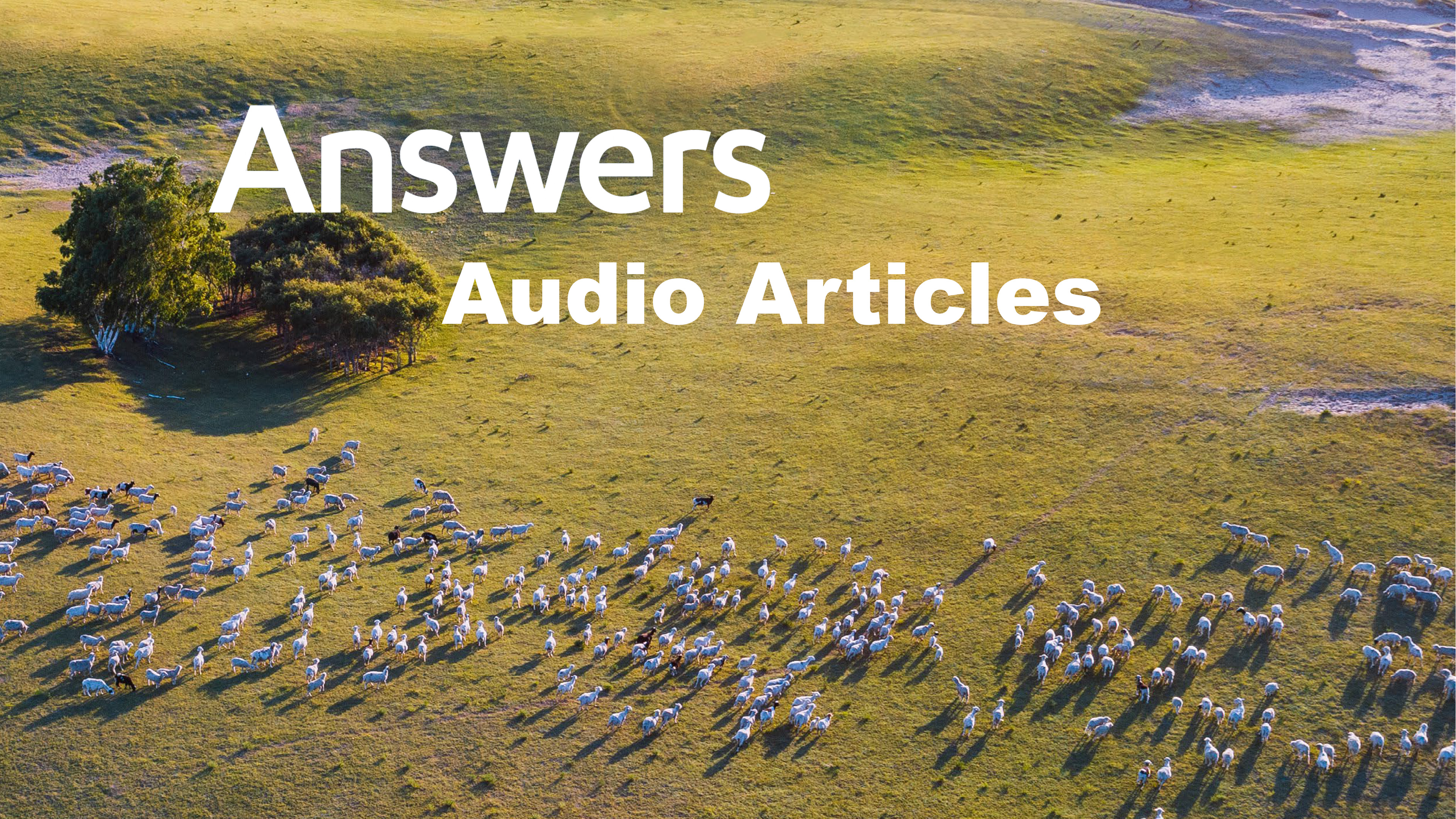 Answers Audio Articles