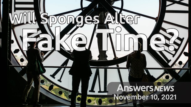 11/10 Will Sponges Alter Fake Time?