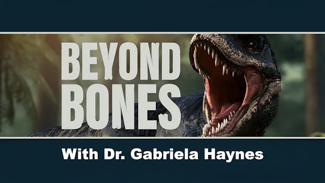 Dr. Gabriela Haynes: What is Behind t...