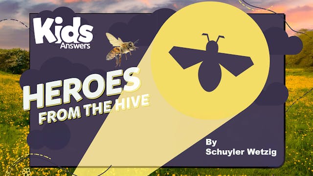 Heros From the Hive (Kids Answers Aud...