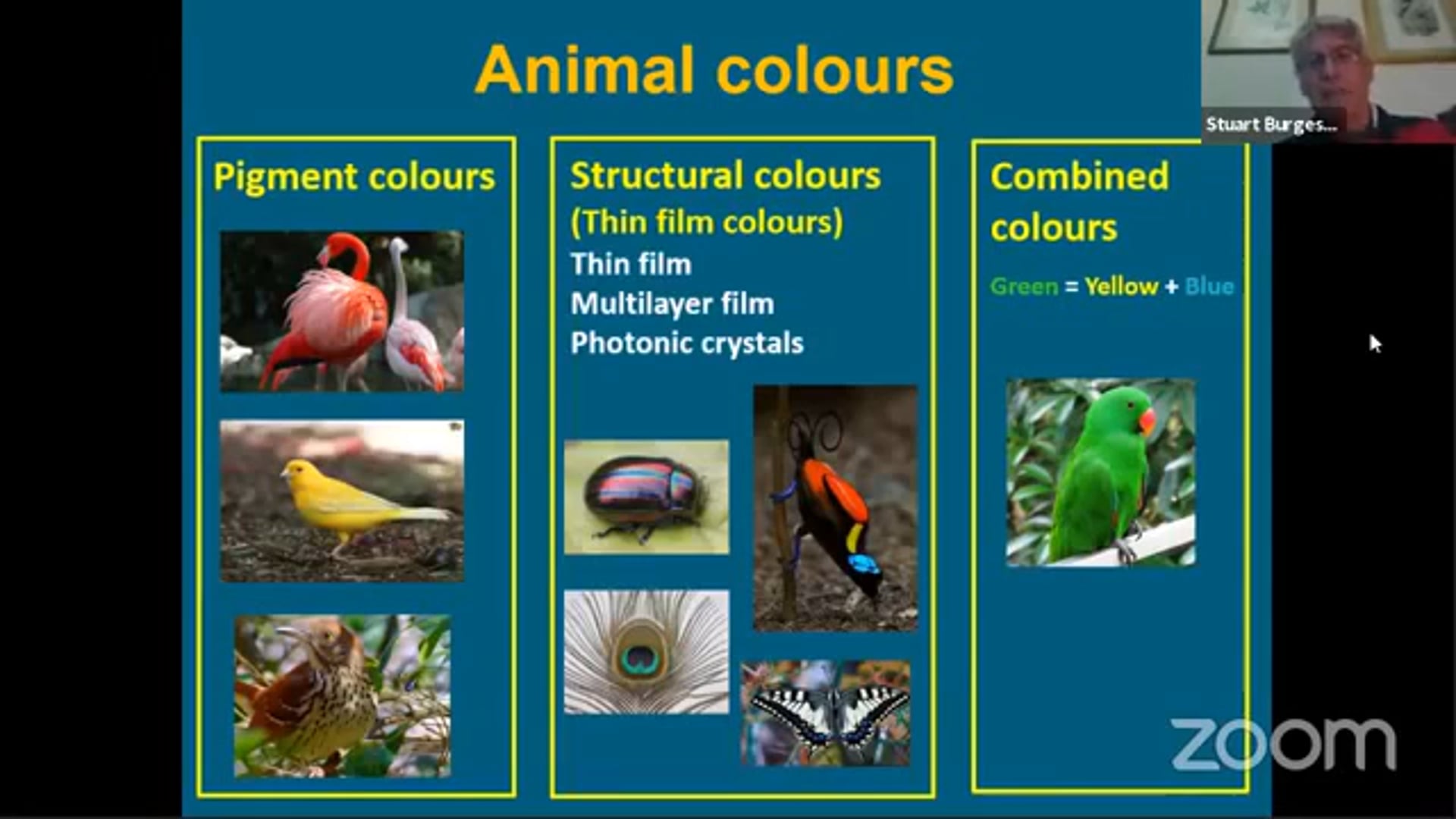 The Beauty of Creation (Prof. Stuart Burgess)