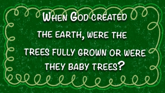 When God Created the Earth, Were the Trees Fully Grown or Were They Baby Trees?