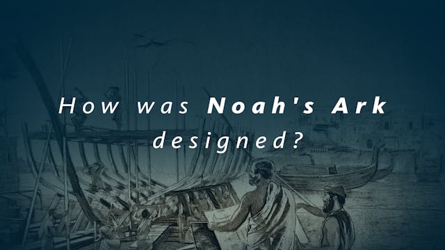 S1E2 The Genesis Account: How was Noa...