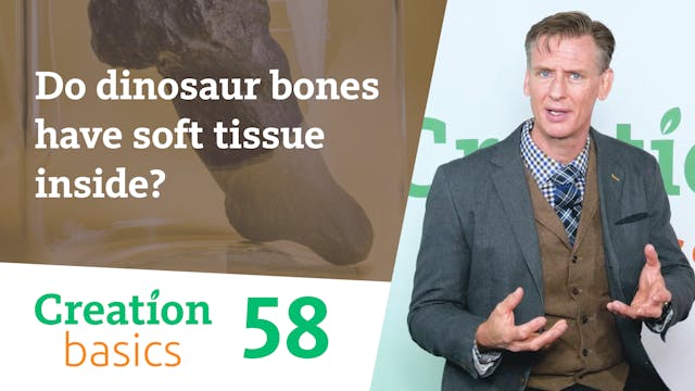 Do dinosaur bones have soft tissue in...