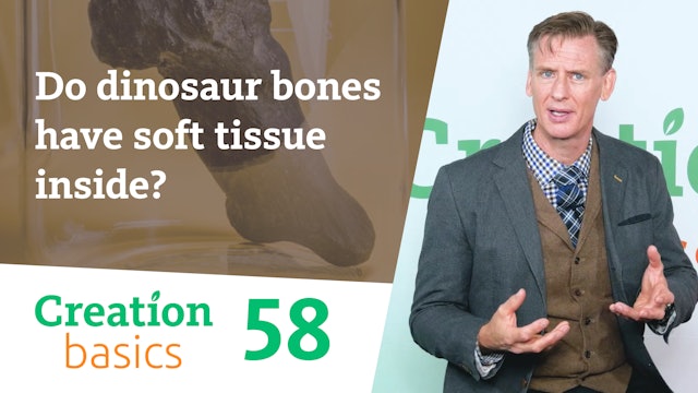 S1E58 Do dinosaur bones have soft tissue inside?