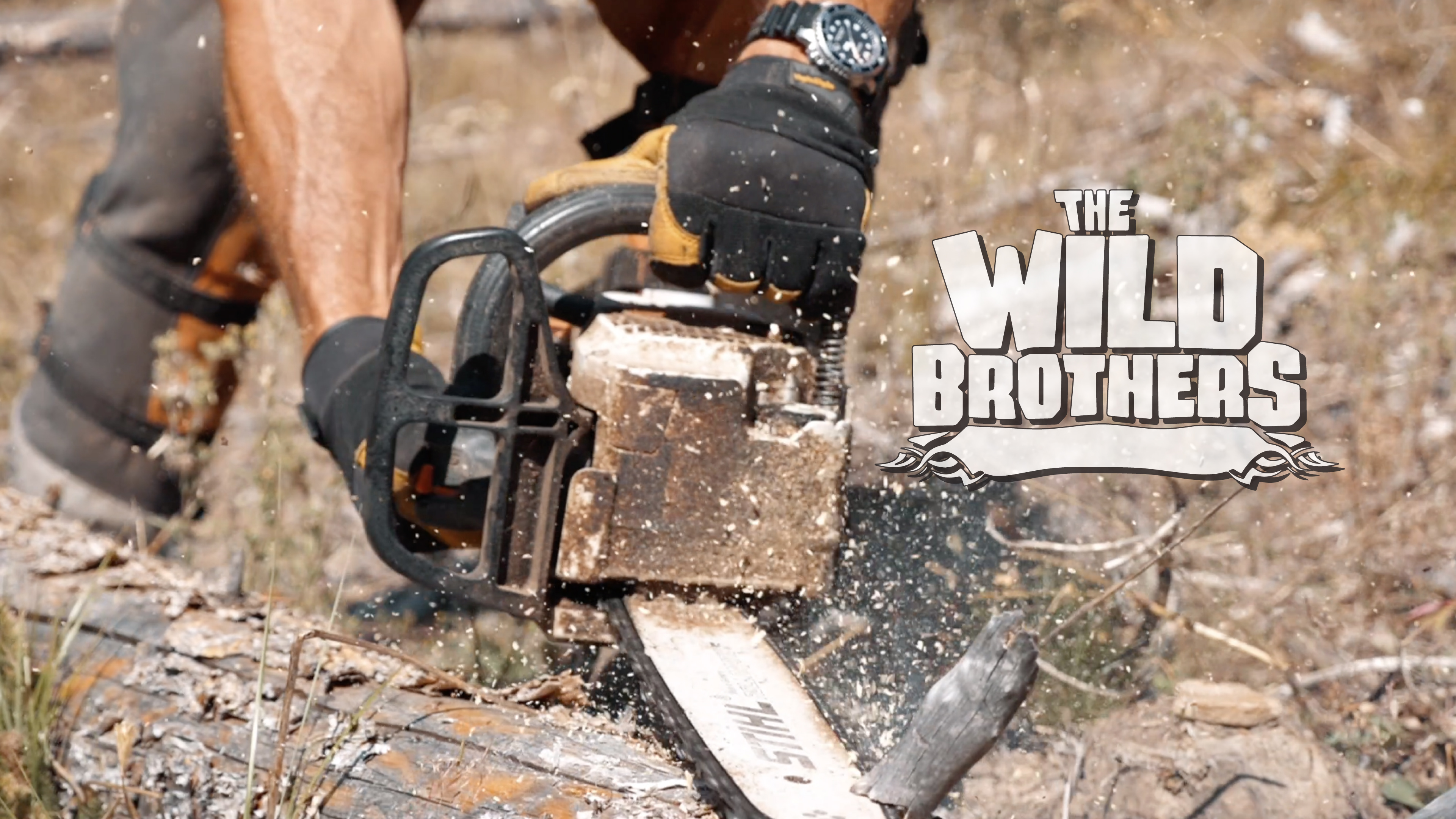 S3E16 Montana Finale