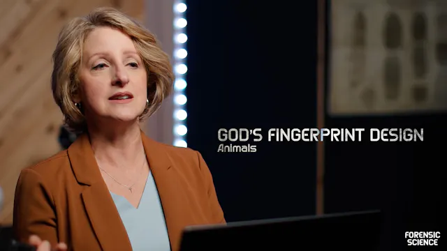 S1E4 Gods Fingerprint Design Part 4: ...