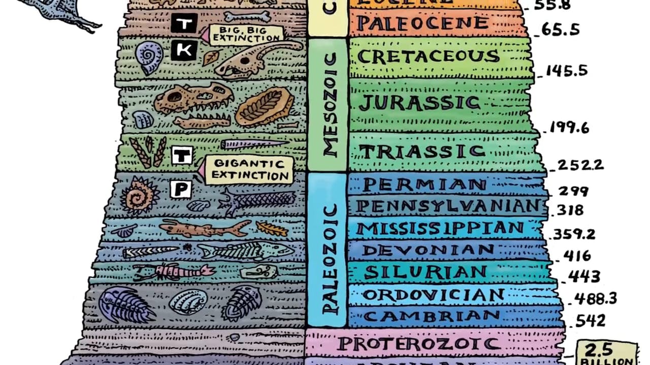 The Fossil Record Proof of Noah’s Flood - Answers.tv