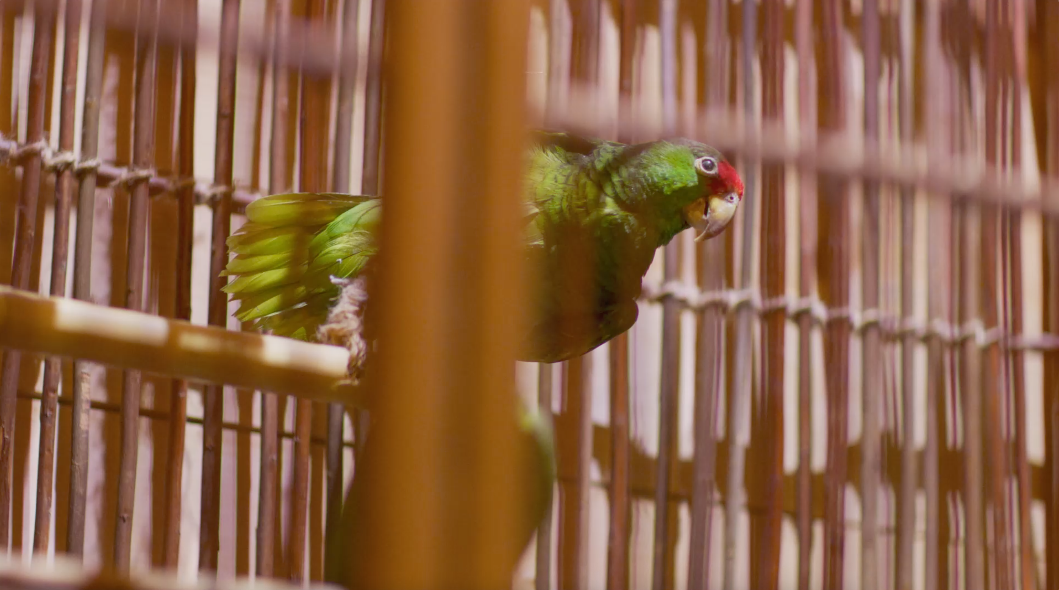 09 The Catastrophe Event