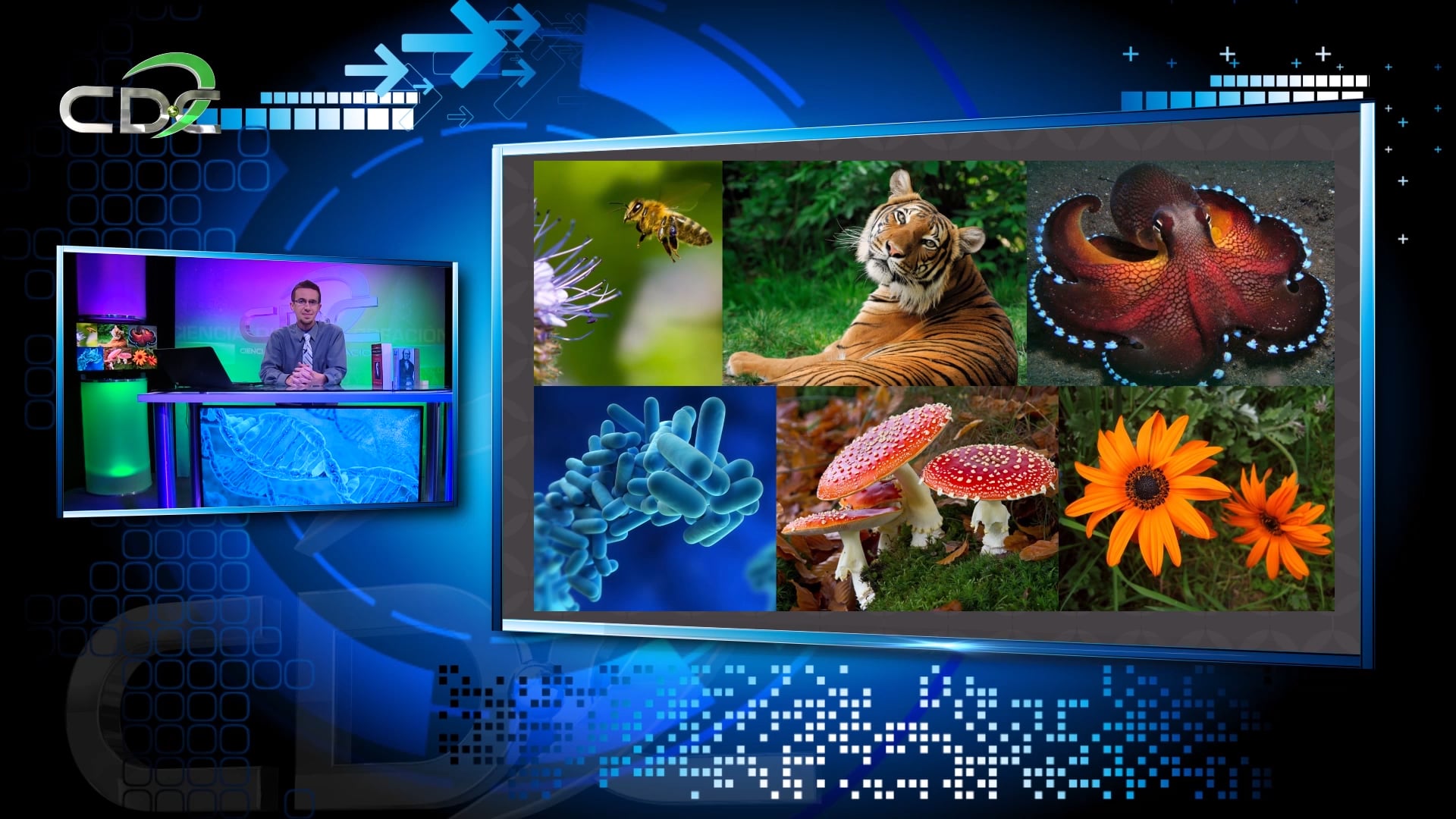 Reemplazando a Darwin Episodio 1