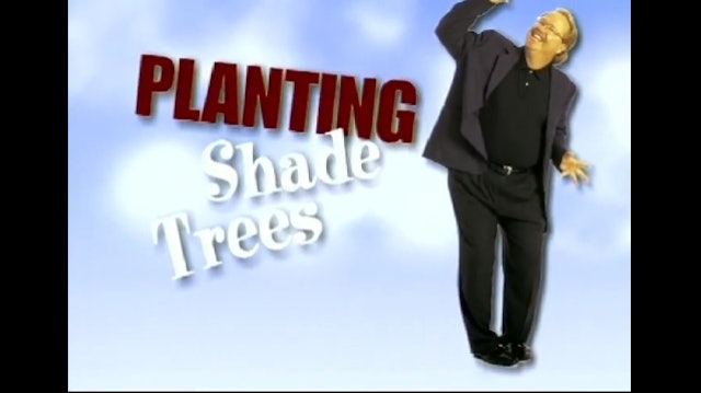 Planting Shade Trees