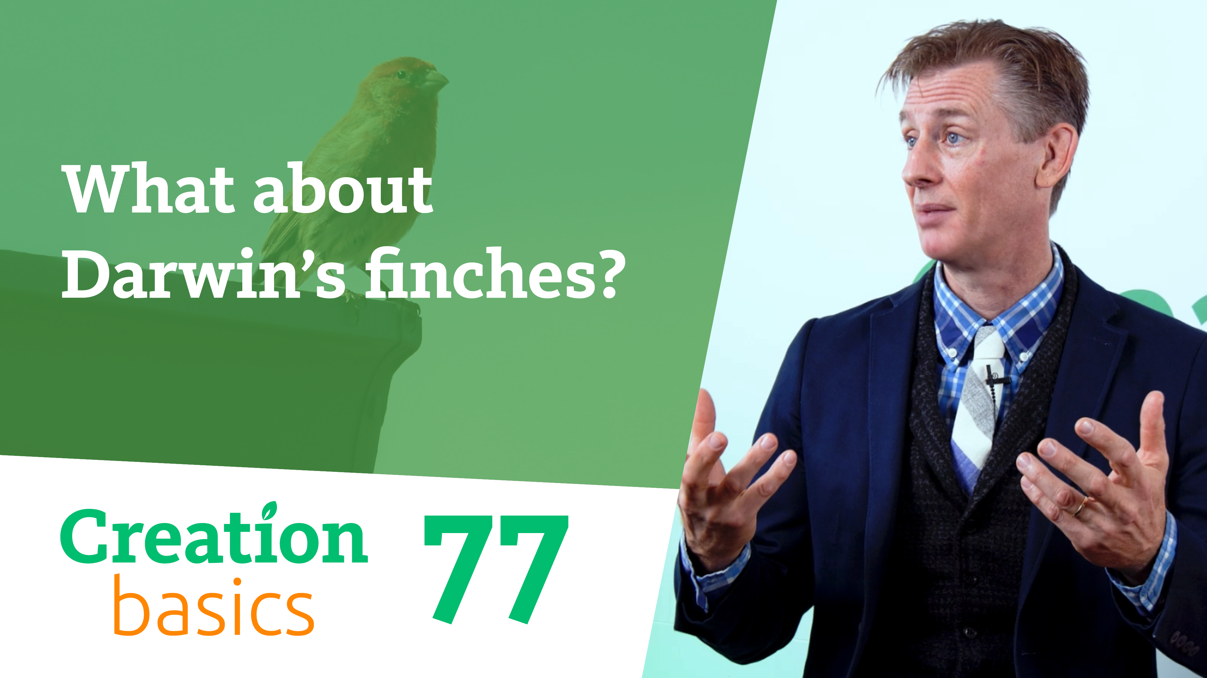 S1E77 What about Darwin's finches?